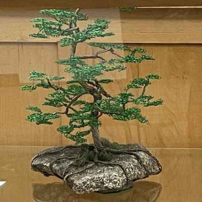 Red Pine on a Rock